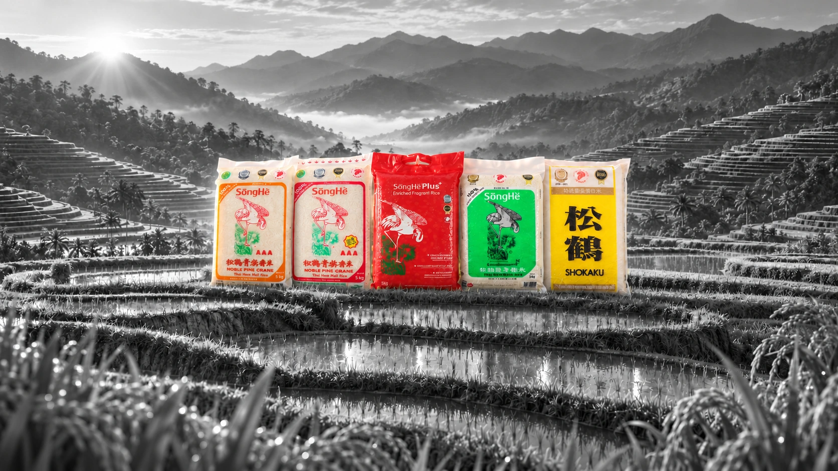 Five colourful rice packs, with the red SongHe Plus bag in the centre, standing among monochrome rice terraces and misty mountains.